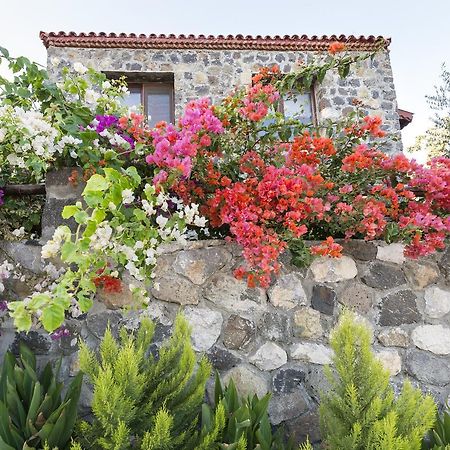 לינה וארוחת בוקר Karaburun Bahce מראה חיצוני תמונה